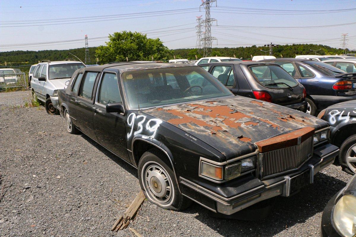 Servet değerindeki otomobiller otoparkta çürüyor