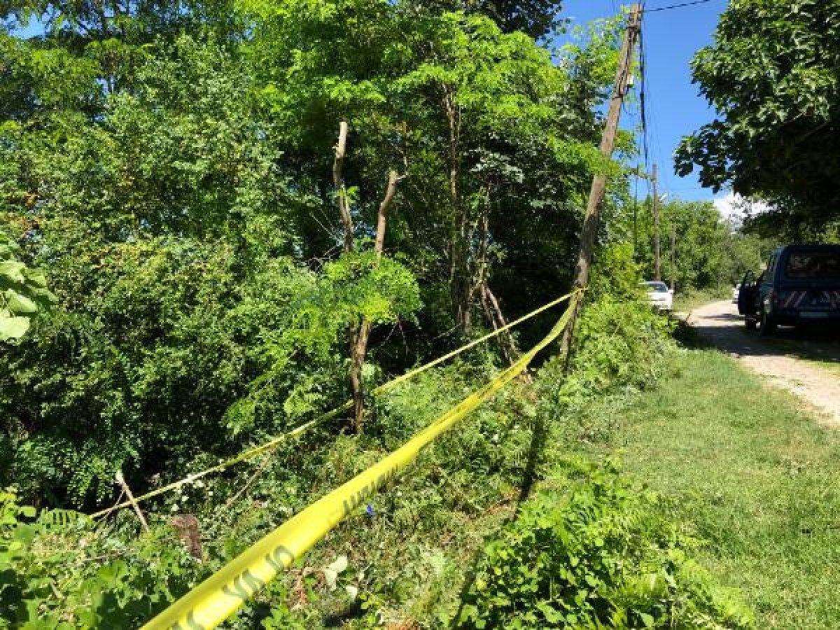 Zonguldak'ta tartıştığı kardeşi ile yeğenini öldürdü