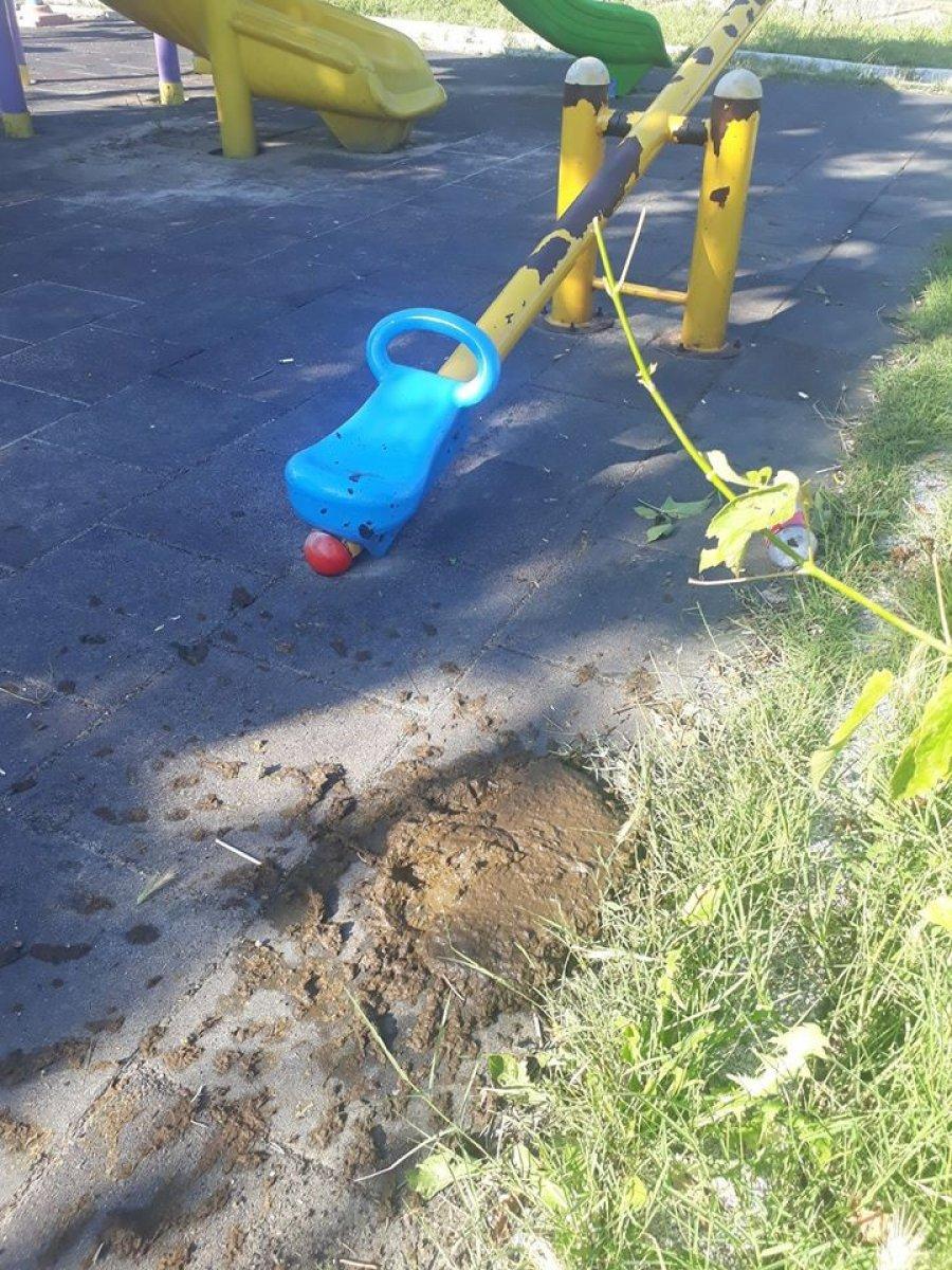 Tekirdağ'da büyükbaş hayvanlar parkı işgal etti