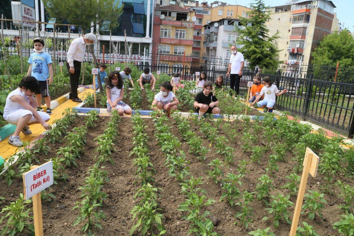 Ankara'da 74 yaşındaki adam, çalışma azmiyle örnek oluyor