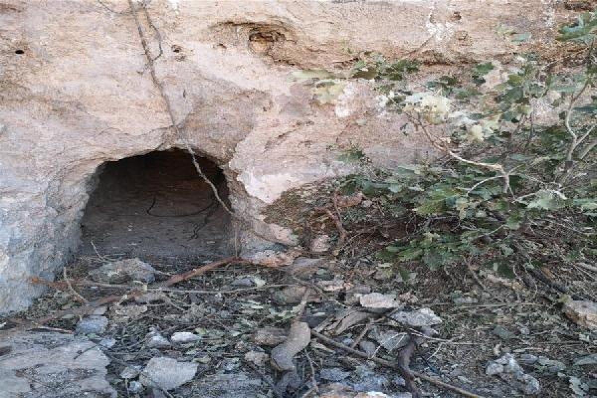 Pençe-Kaplan Operasyonu'nda ele geçirilen malzemeler