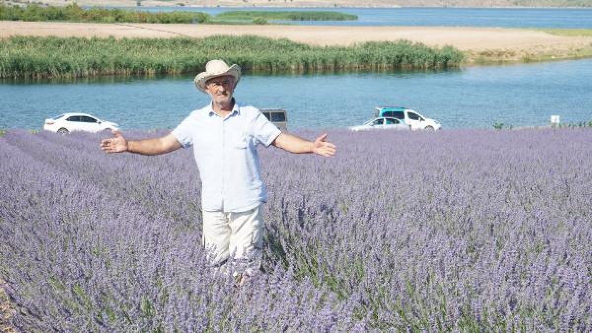 Kırıkkale'de tarlalarını lavanta bahçesine çevirdiler