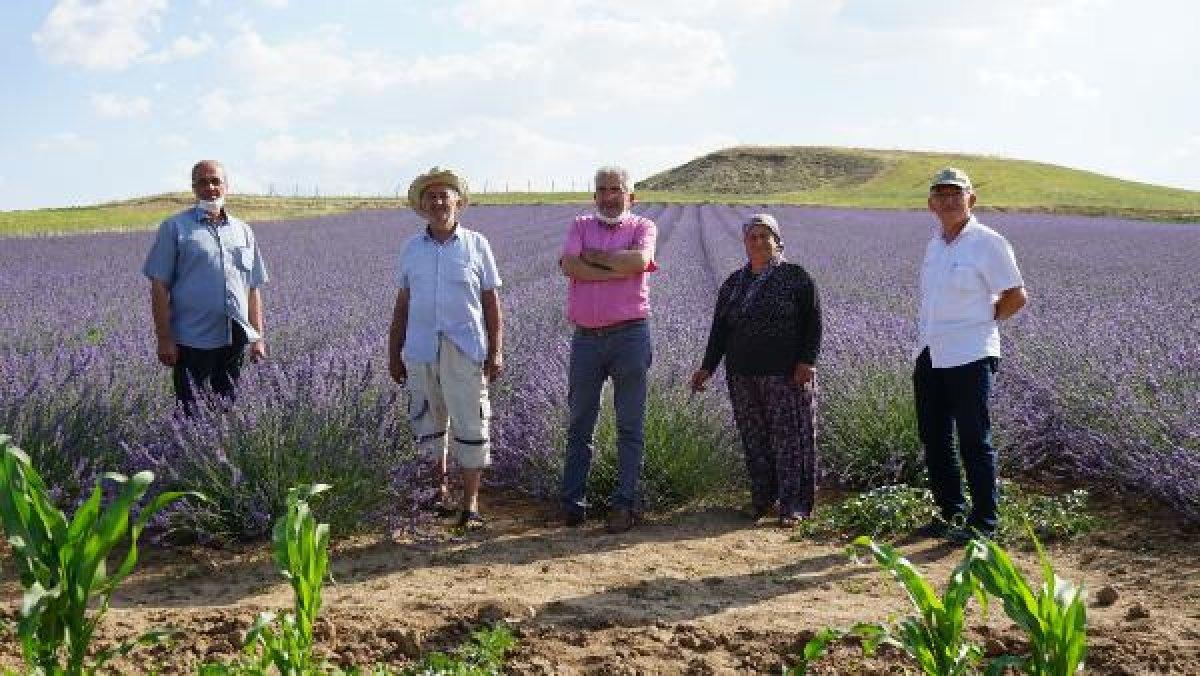 Kırıkkale'de tarlalarını lavanta bahçesine çevirdiler