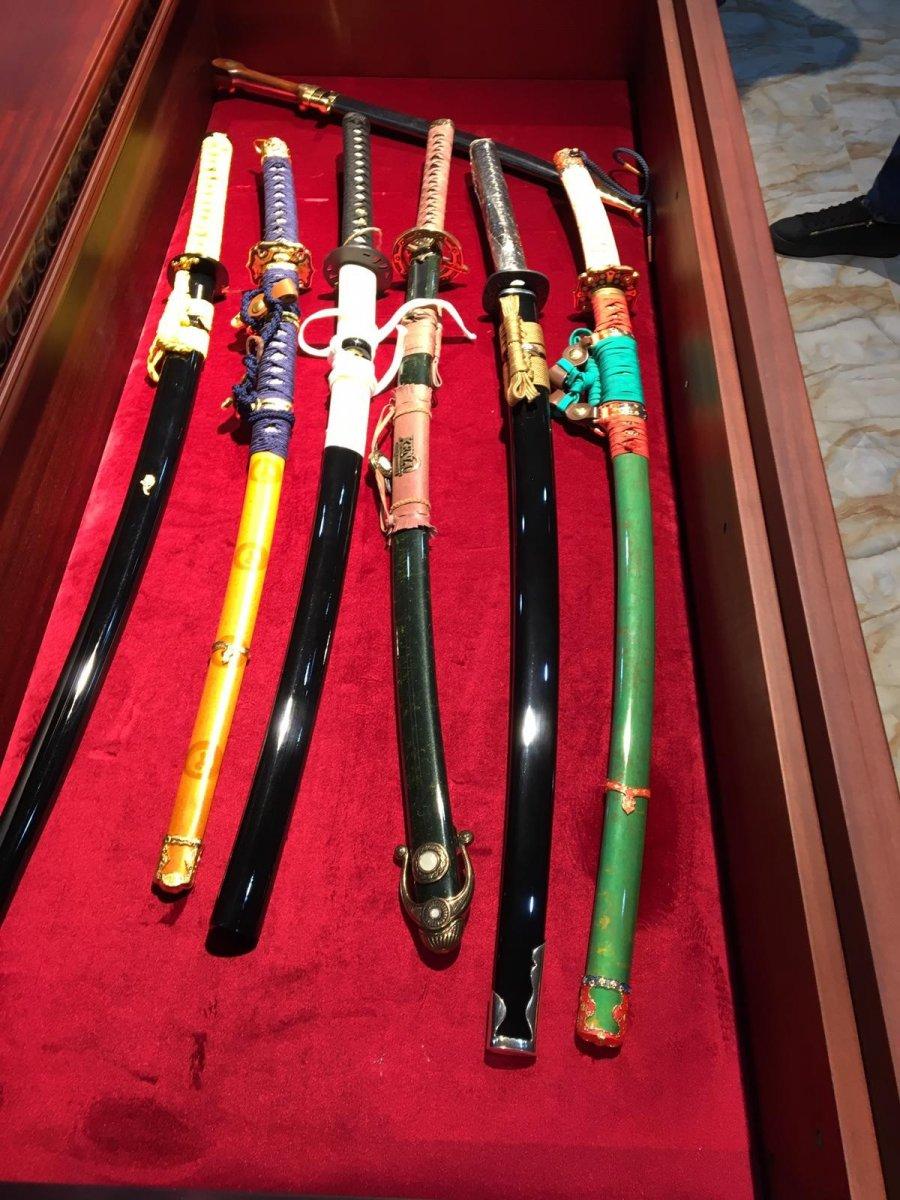 Bakan Soylu: 9 ülke ile Bataklık Operasyonu düzenledik