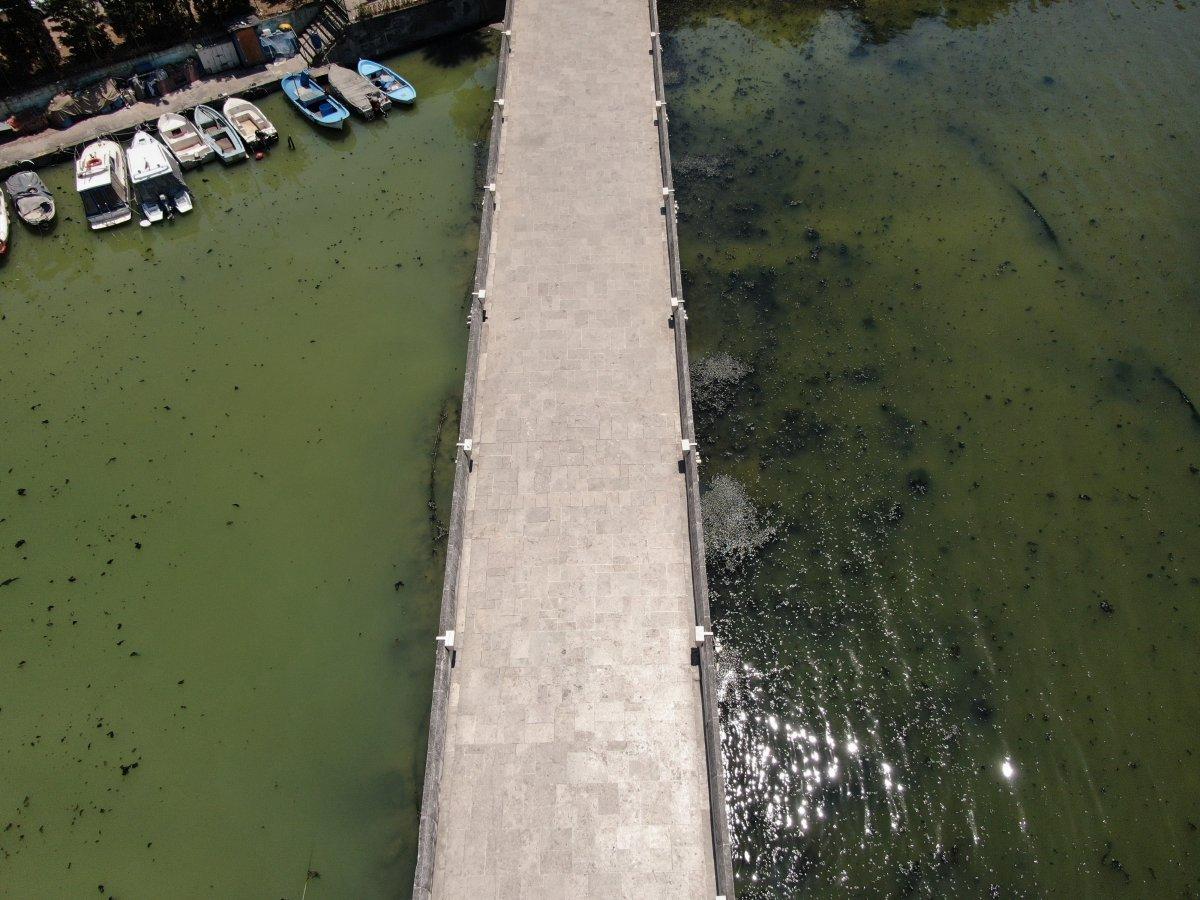 Kuş cenneti Küçükçekmece balık cehennemine döndü