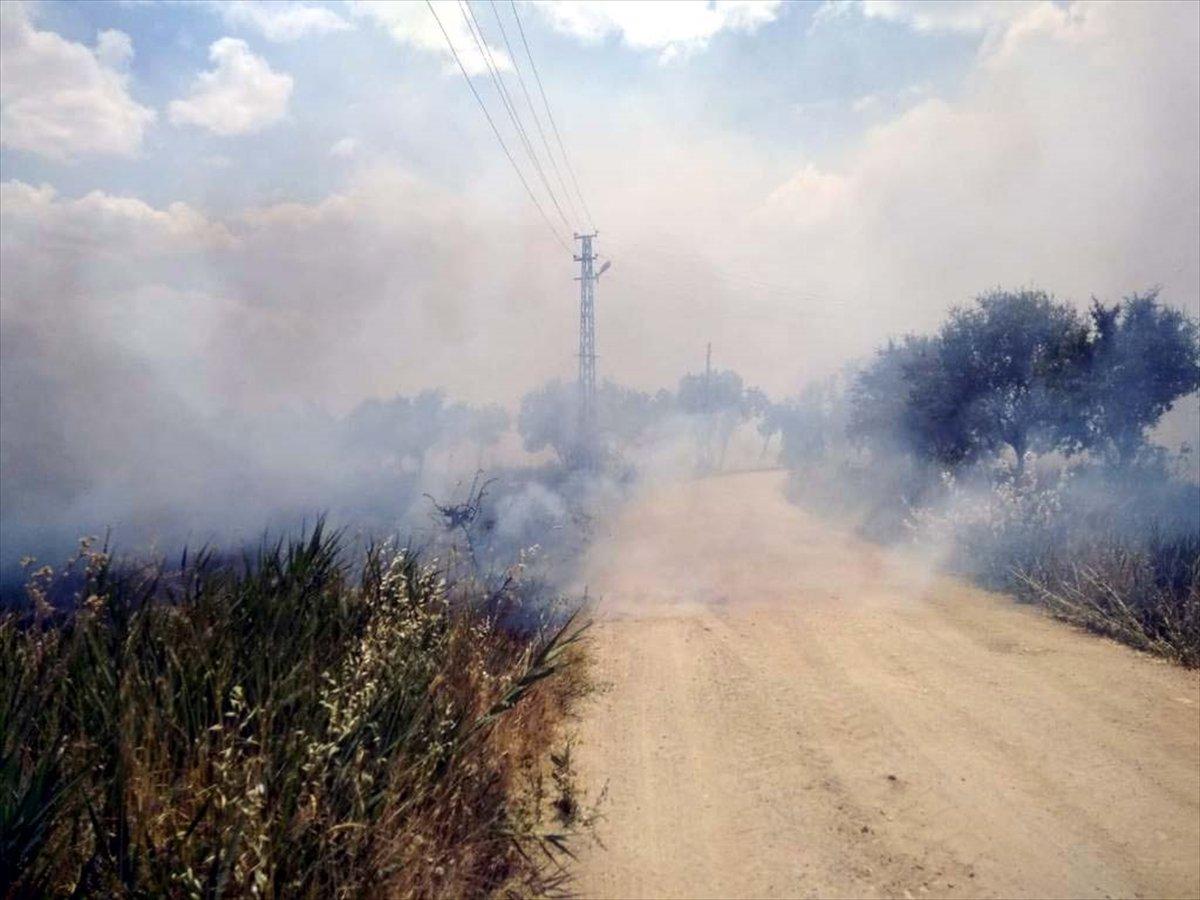 Elazığ'da arpa ekili tarlada yangın çıktı