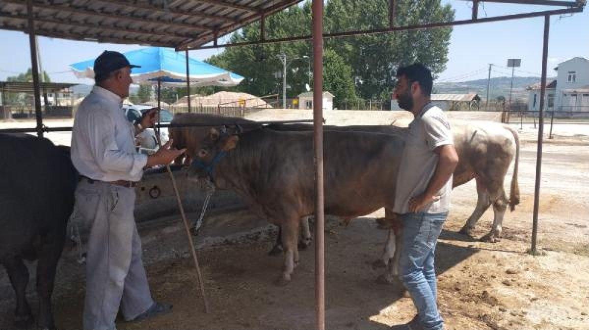 Bursa'da sosyal mesafeli hayvan pazarlığı