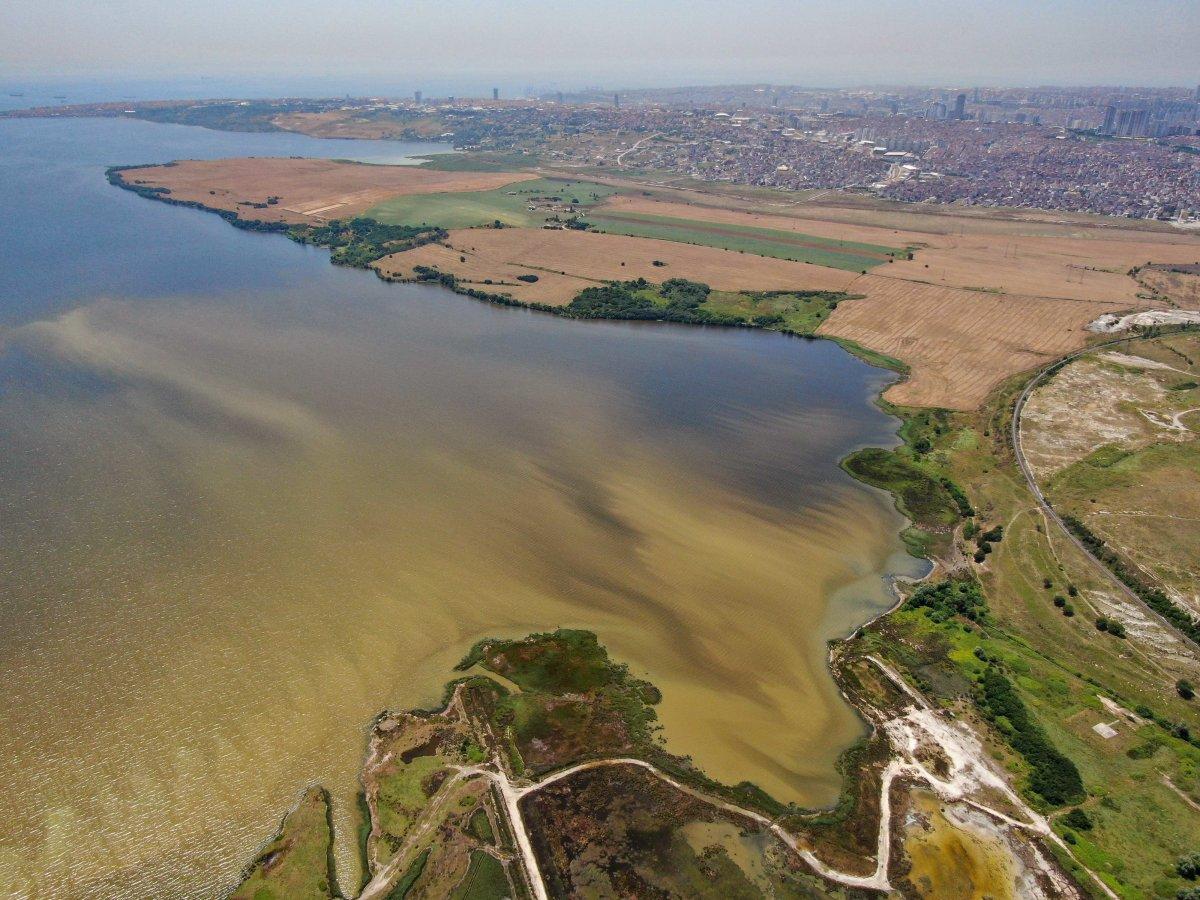Kuş cenneti Küçükçekmece balık cehennemine döndü