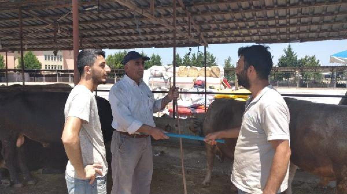 Bursa'da sosyal mesafeli hayvan pazarlığı