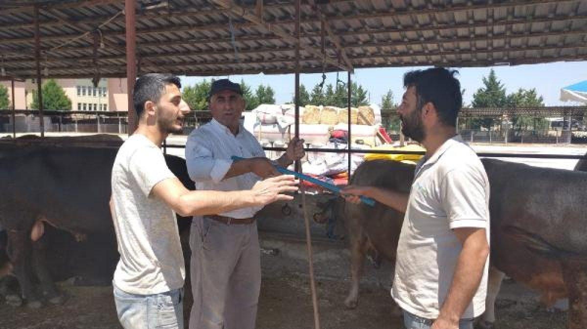 Bursa'da sosyal mesafeli hayvan pazarlığı