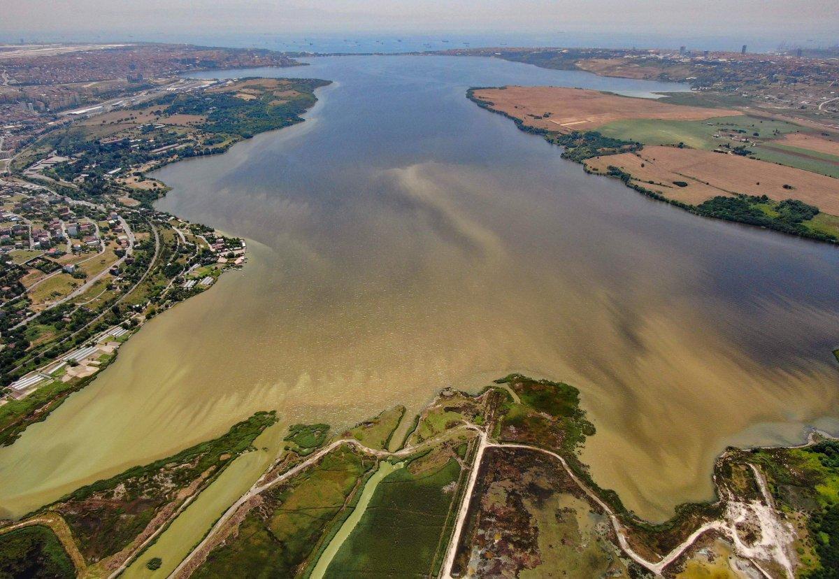 Kuş cenneti Küçükçekmece balık cehennemine döndü