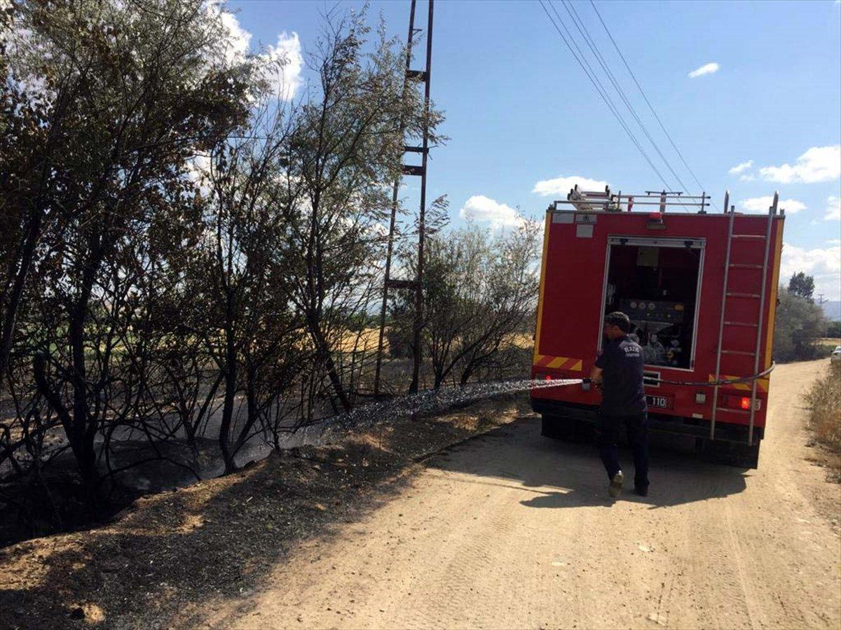 Elazığ'da arpa ekili tarlada yangın çıktı