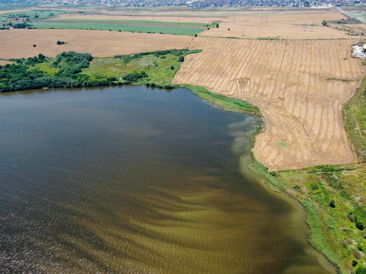 Kuş cenneti Küçükçekmece balık cehennemine döndü