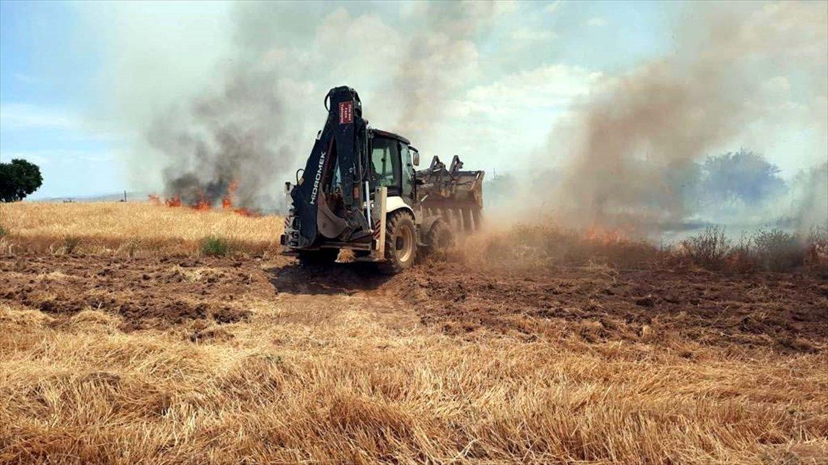 Elazığ'da arpa ekili tarlada yangın çıktı