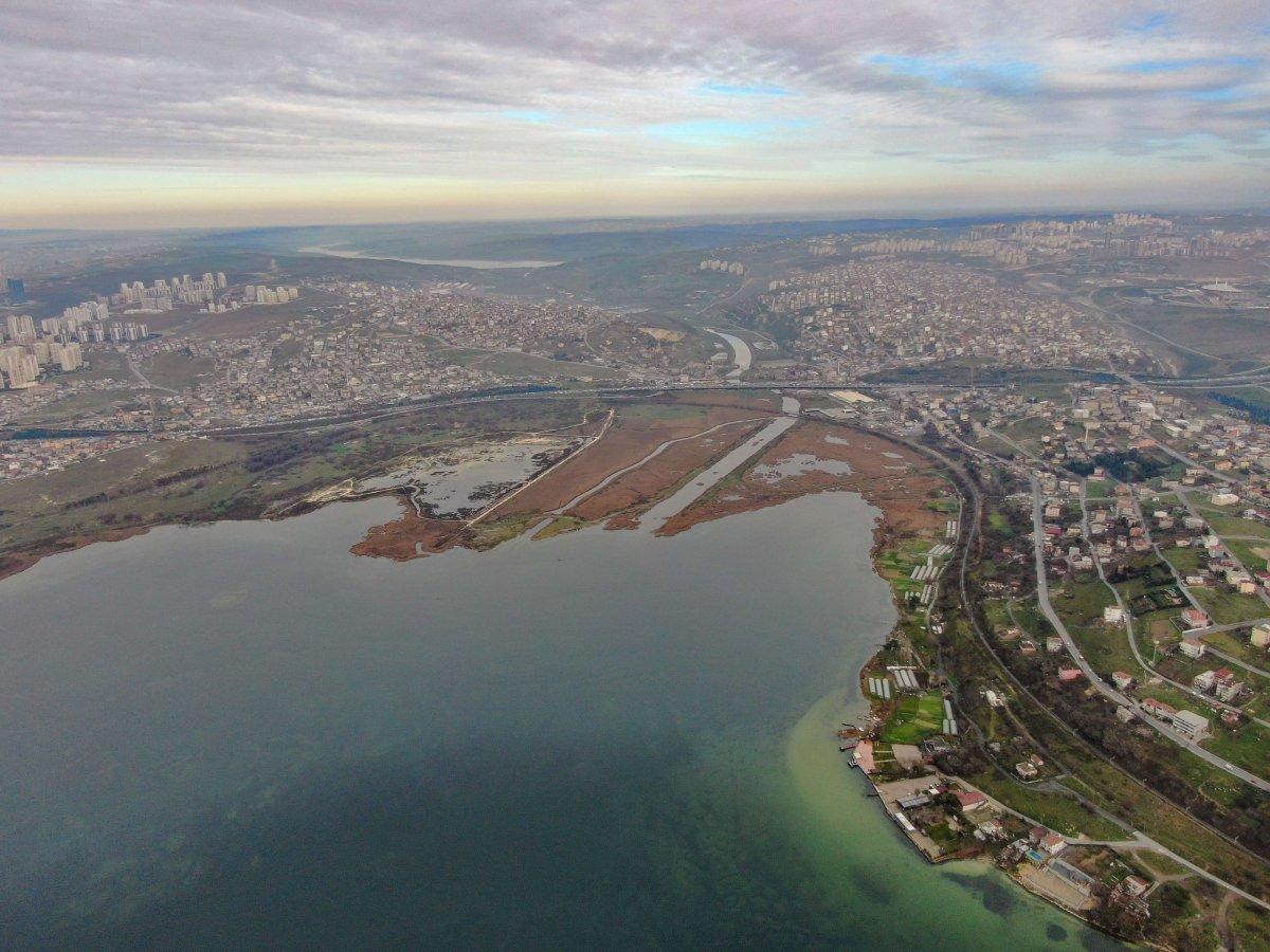Kuş cenneti Küçükçekmece balık cehennemine döndü