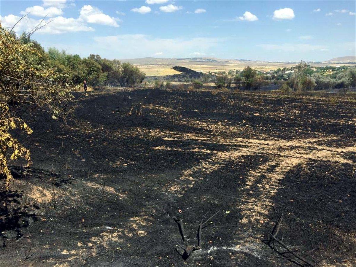 Elazığ'da arpa ekili tarlada yangın çıktı