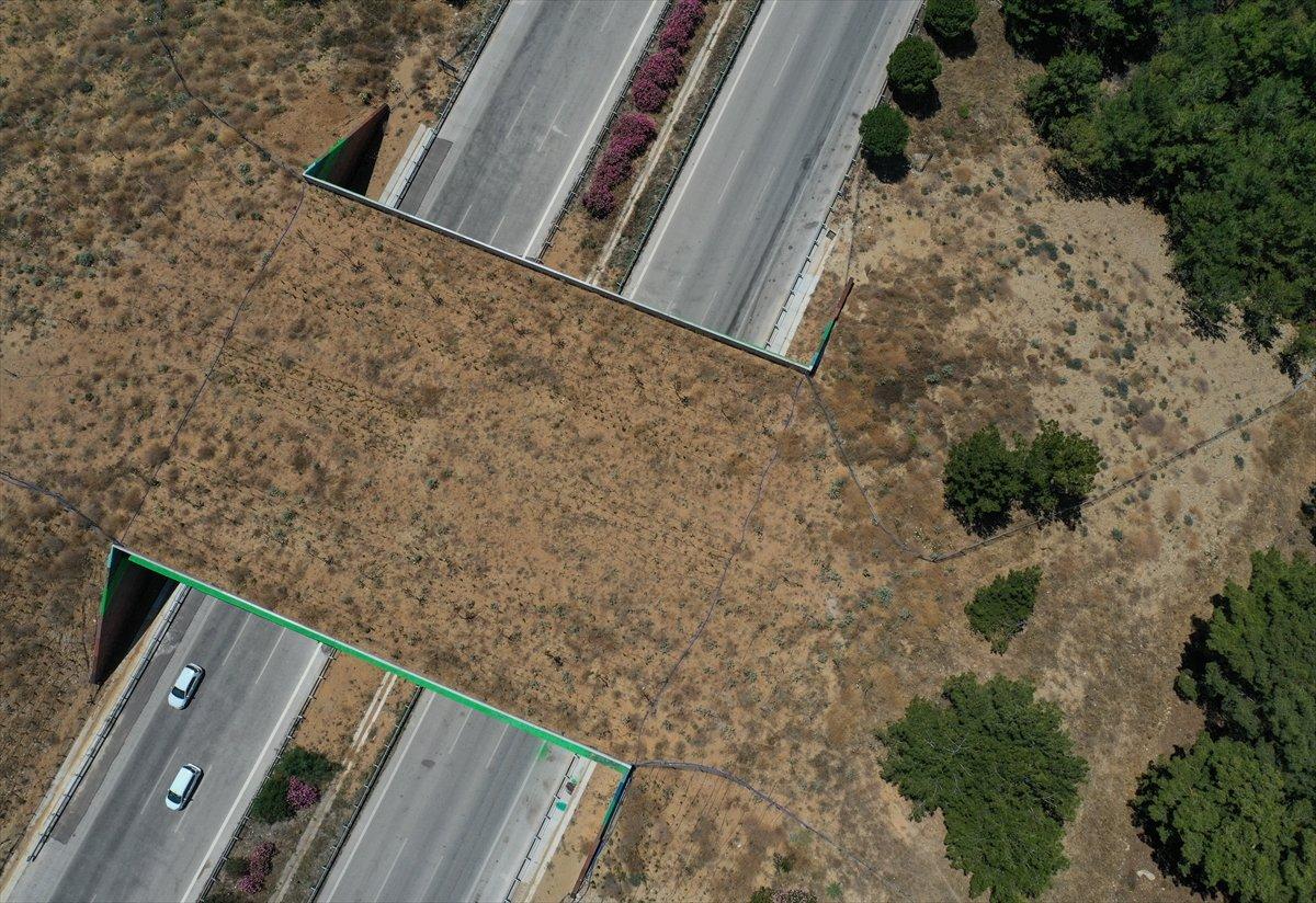 İzmir-Çeşme otoyolundaki ekolojik köprü tamamlandı