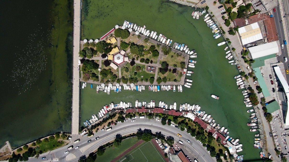 Kuş cenneti Küçükçekmece balık cehennemine döndü