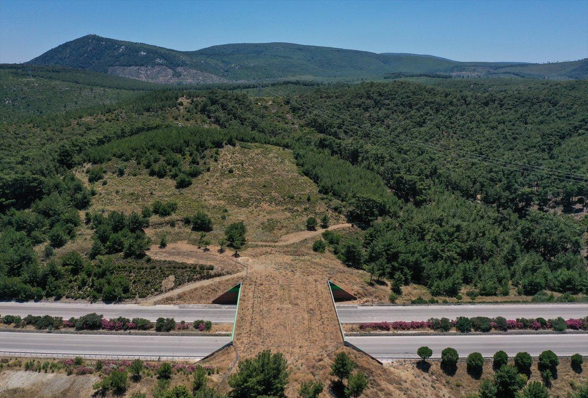 İzmir-Çeşme otoyolundaki ekolojik köprü tamamlandı