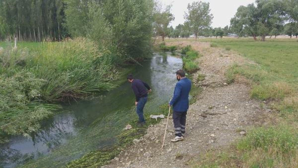 Melek Memiş'in cansız bedeni bulundu