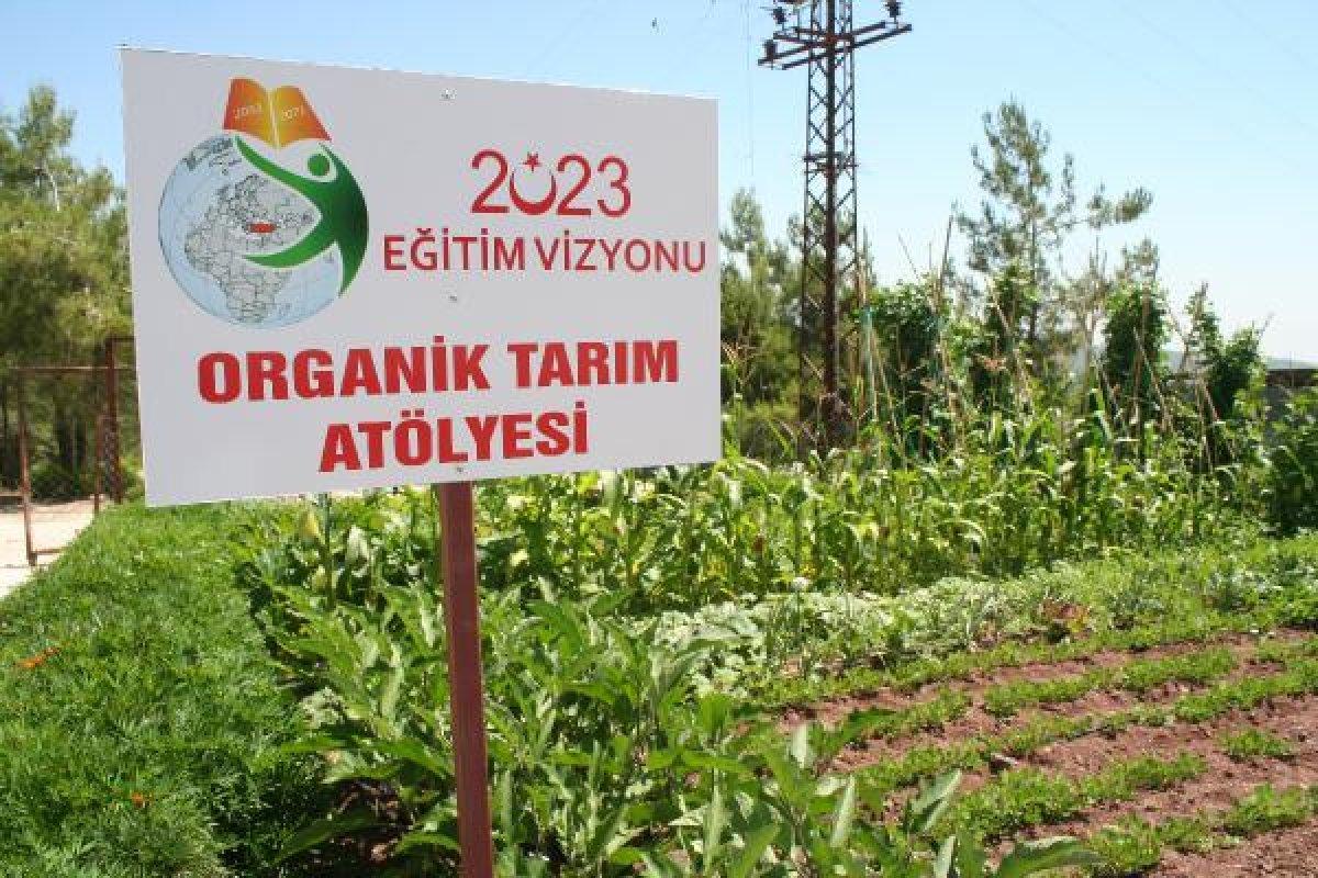 Mersin'de okul bahçesinde organik tarım yapıldı
