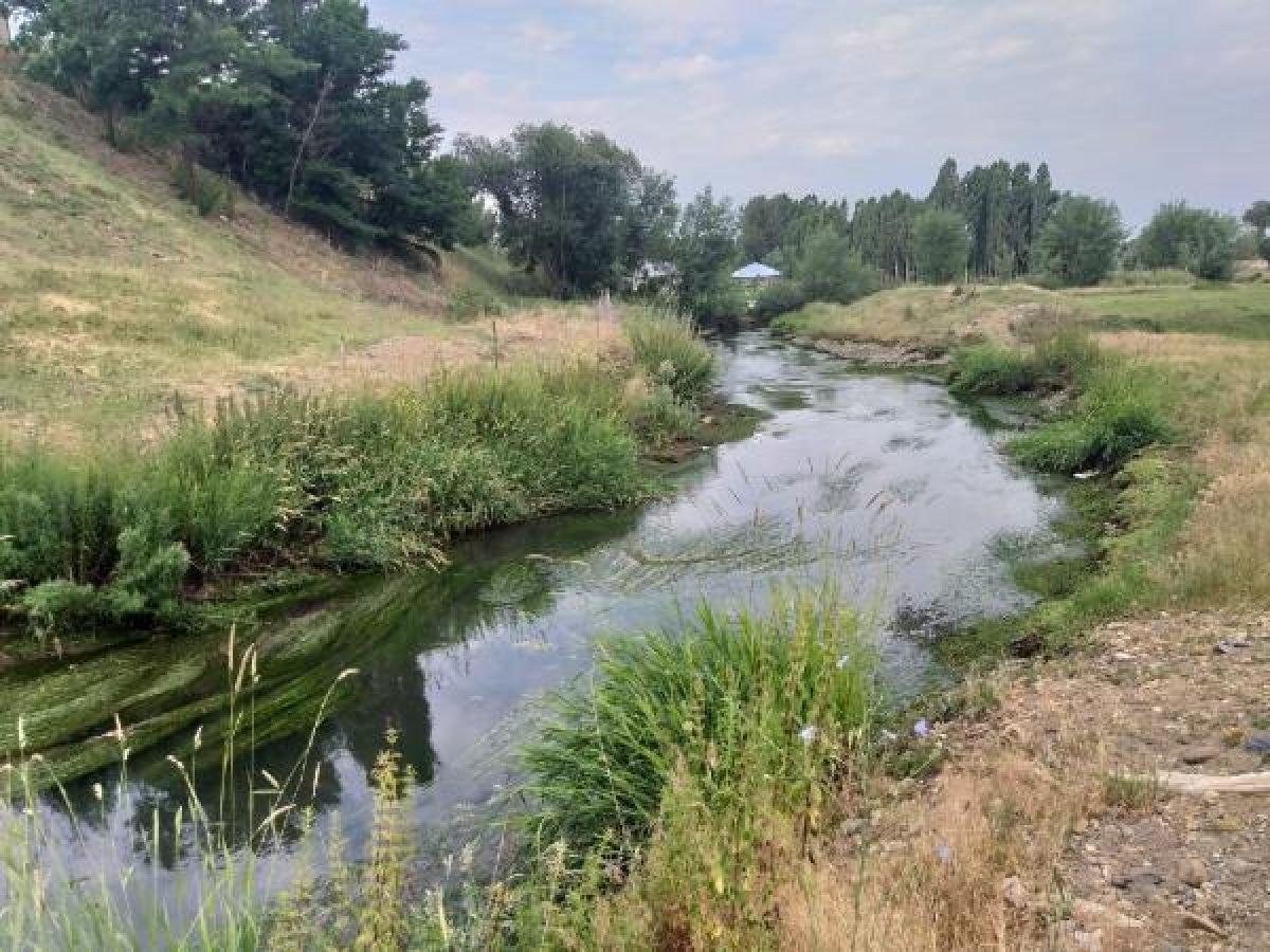 Melek Memiş'in cansız bedeni bulundu