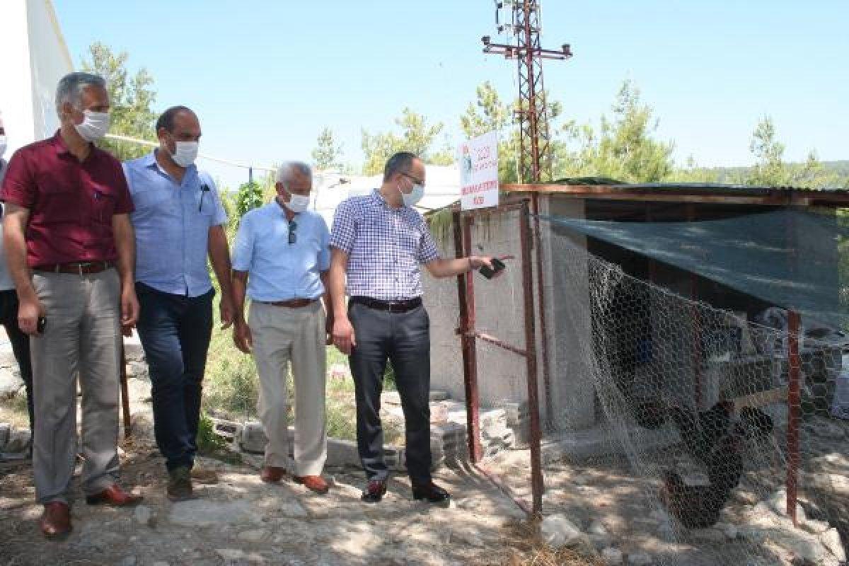 Mersin'de okul bahçesinde organik tarım yapıldı