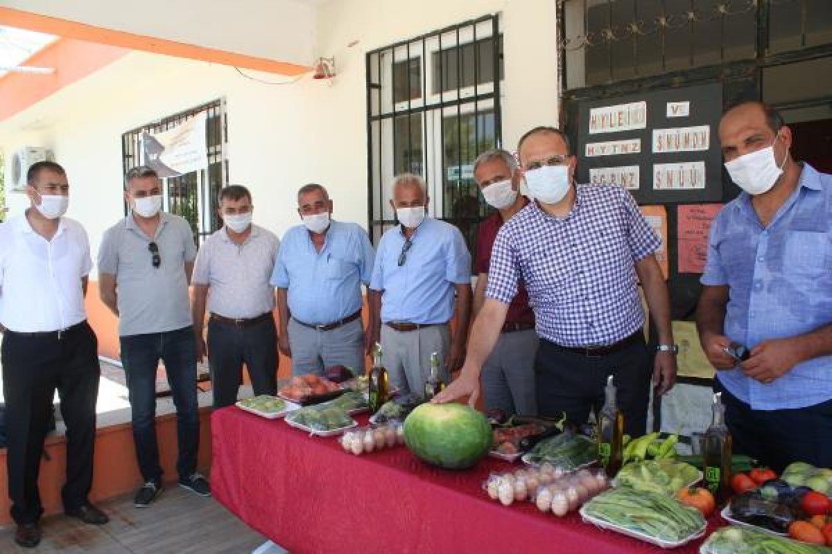 Mersin'de okul bahçesinde organik tarım yapıldı