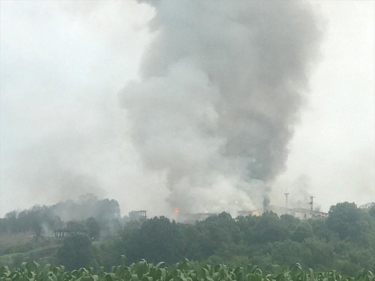 Bakan Pakdemirli: Bölgeye takviye gönderildi