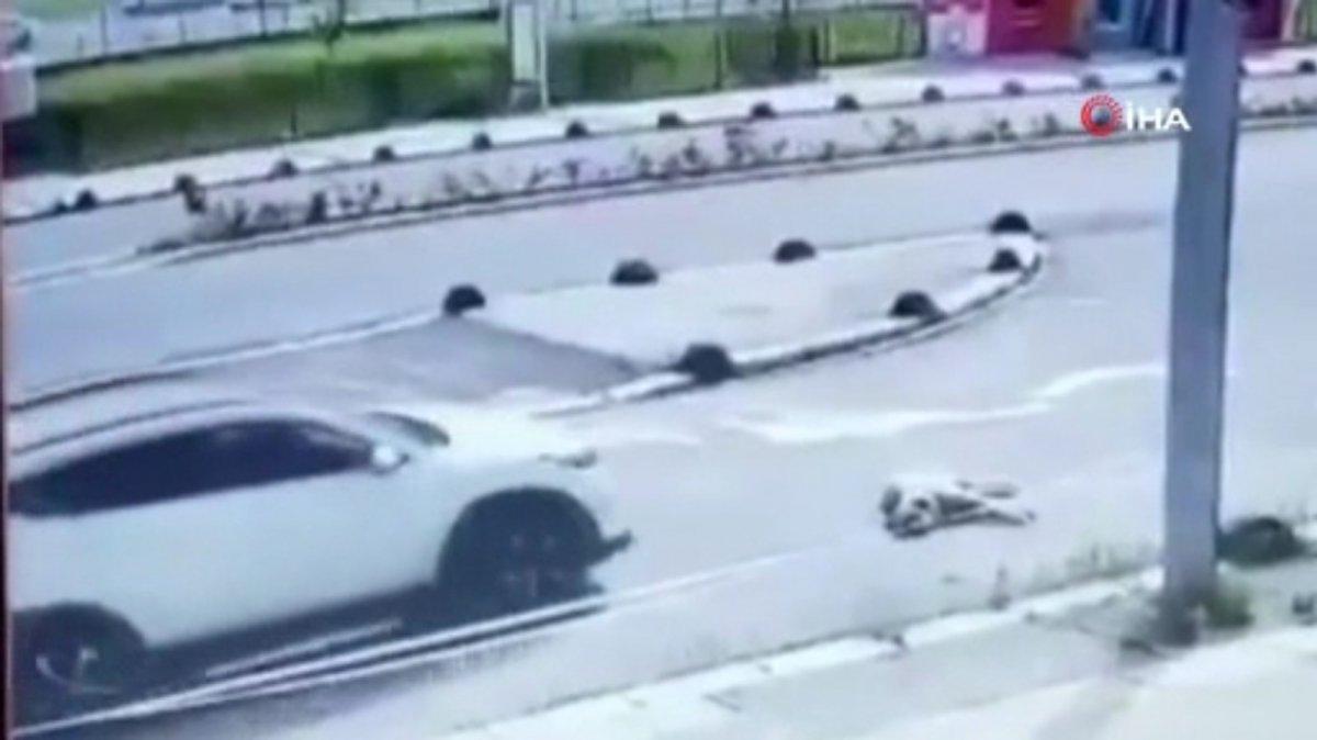 Maltepe'de bir şahıs köpeğin üzerinden aracıyla geçti