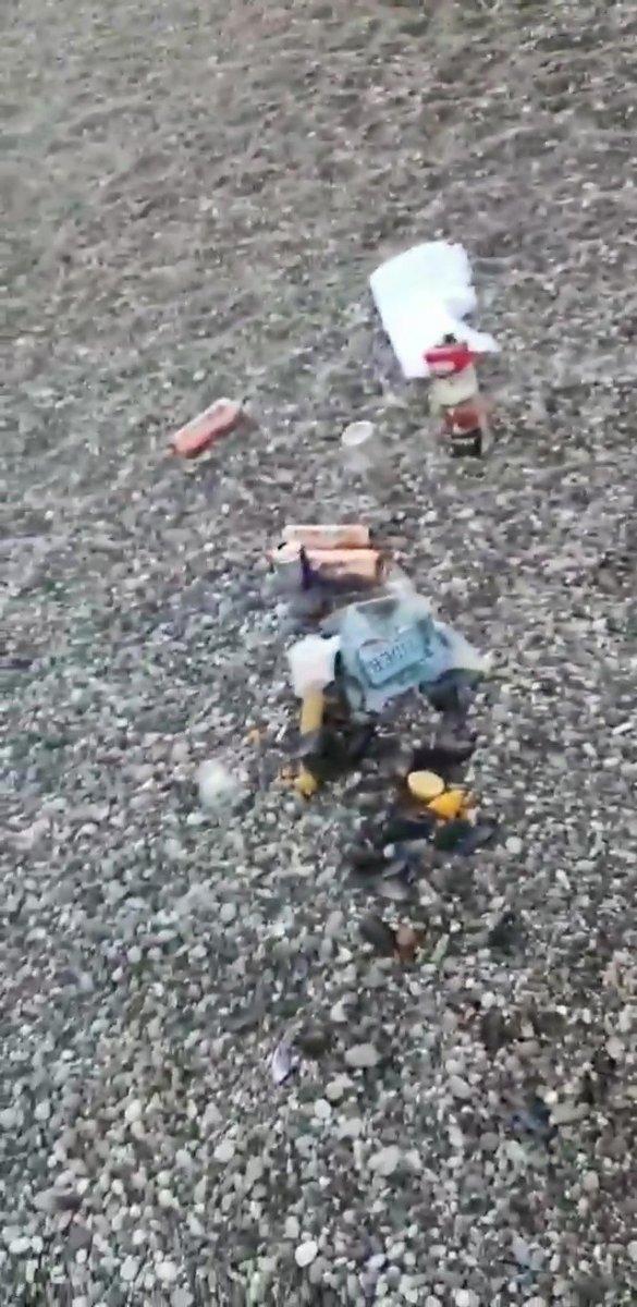 Antalya'da sahildeki insan atıklarını köpek topladı