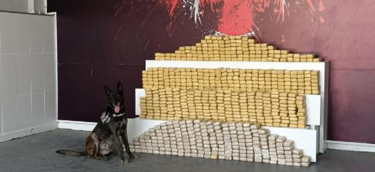 Kocaeli'de aracın tavanından 375 kilo eroin çıktı