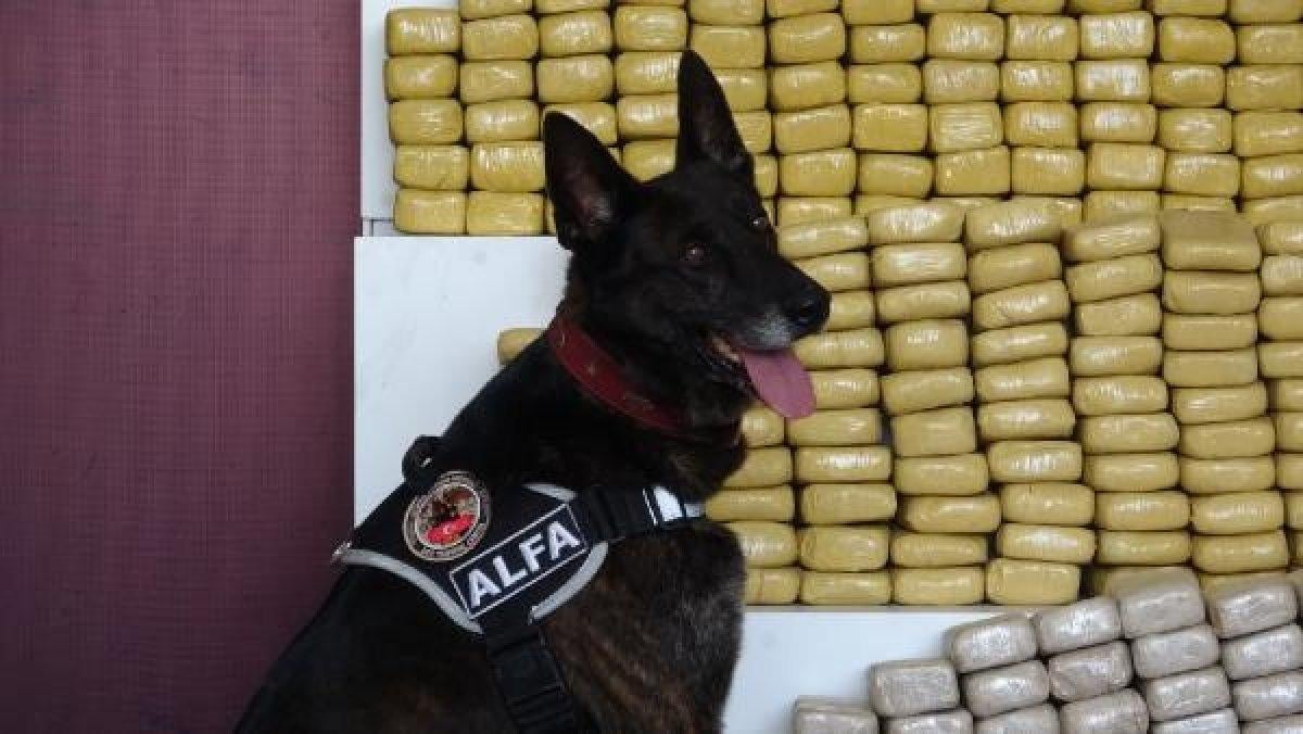 Kocaeli'de aracın tavanından 375 kilo eroin çıktı