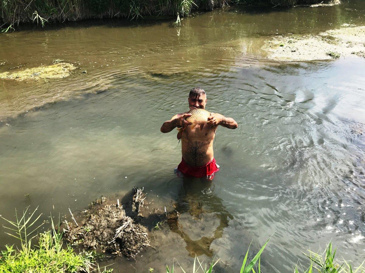 Iğdır’da çıplak elle balık tutuyor