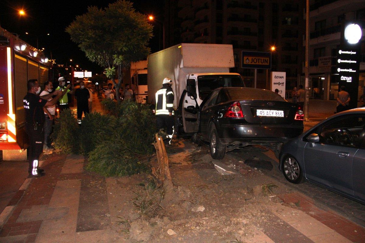 Manisa'da kediye çarpmamak için araçlara çarptı