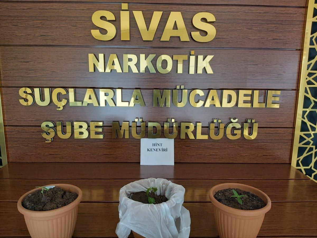 Sivas'ta uyuşturucu kullanıp araç sürenlere ceza yağdı