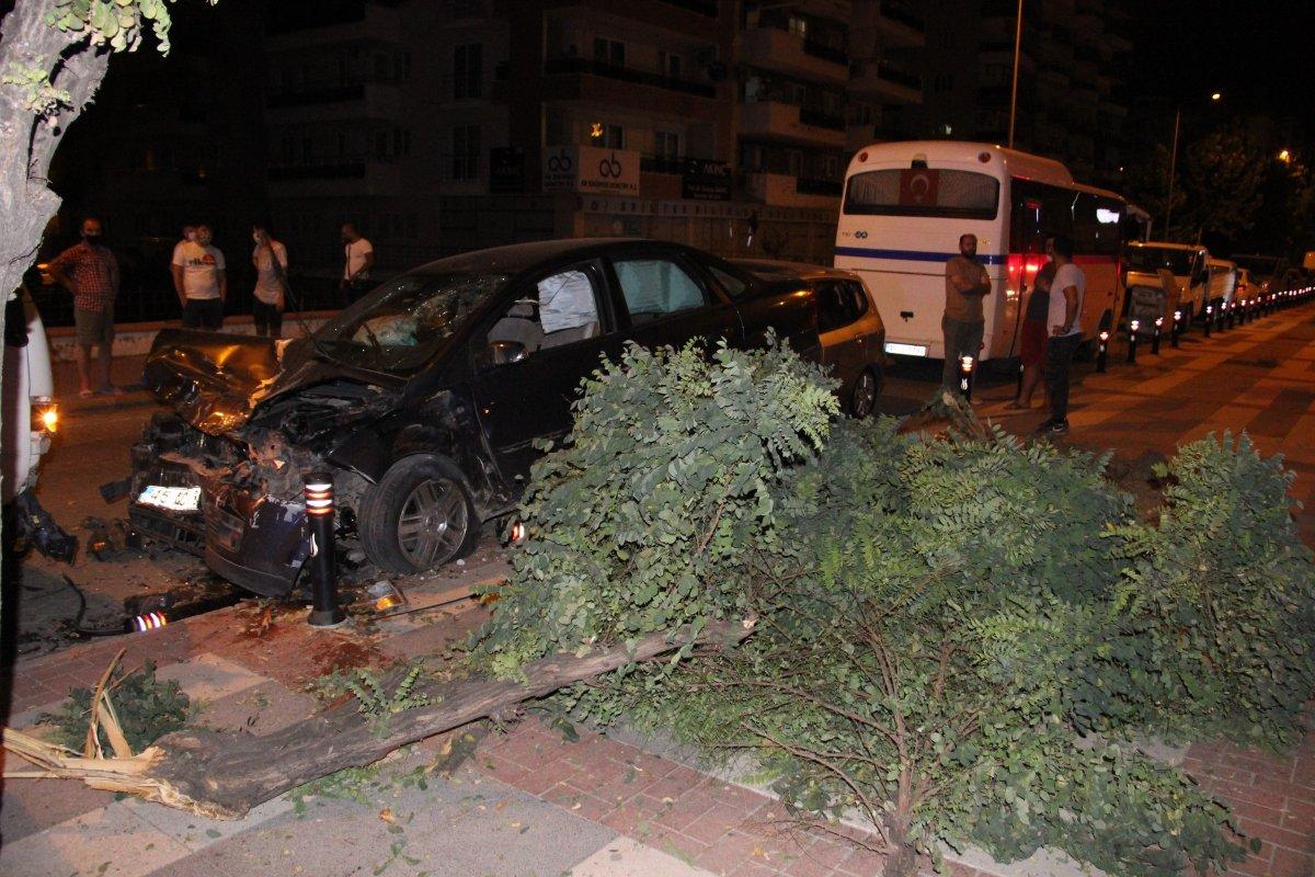 Manisa'da kediye çarpmamak için araçlara çarptı