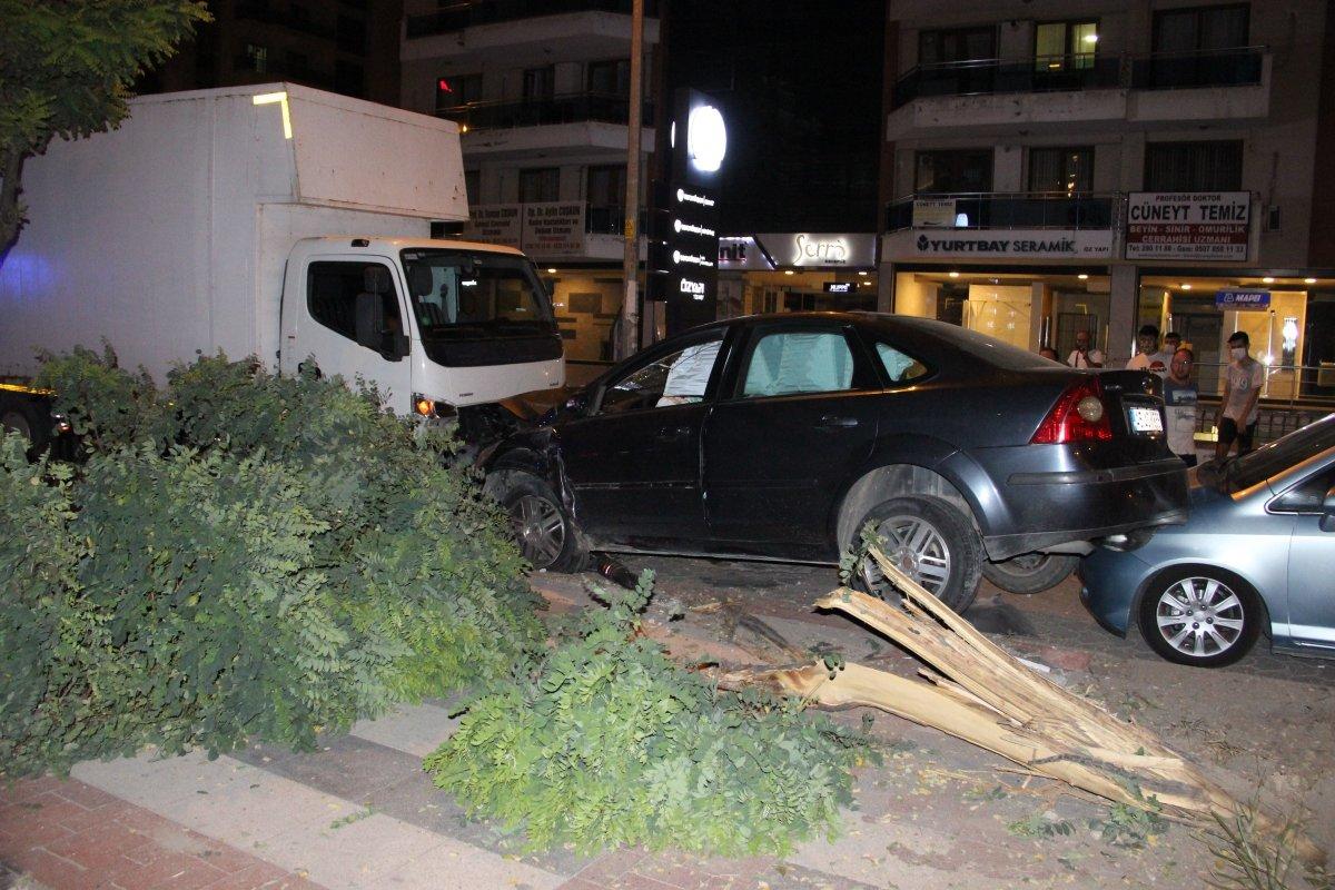 Manisa'da kediye çarpmamak için araçlara çarptı