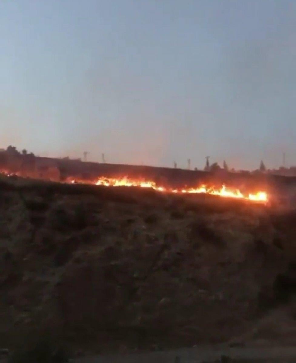 İzmir'de bir ormanda yangın çıktı