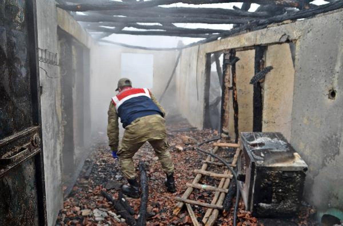Şaver Cindi cinayetinde yargılama devam ediyor