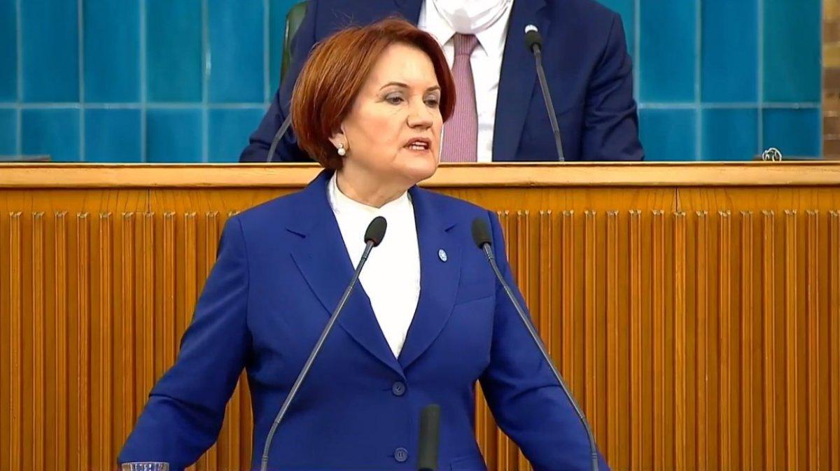 Akşener: Güzelim Gelibolu ormanları yandı gitti
