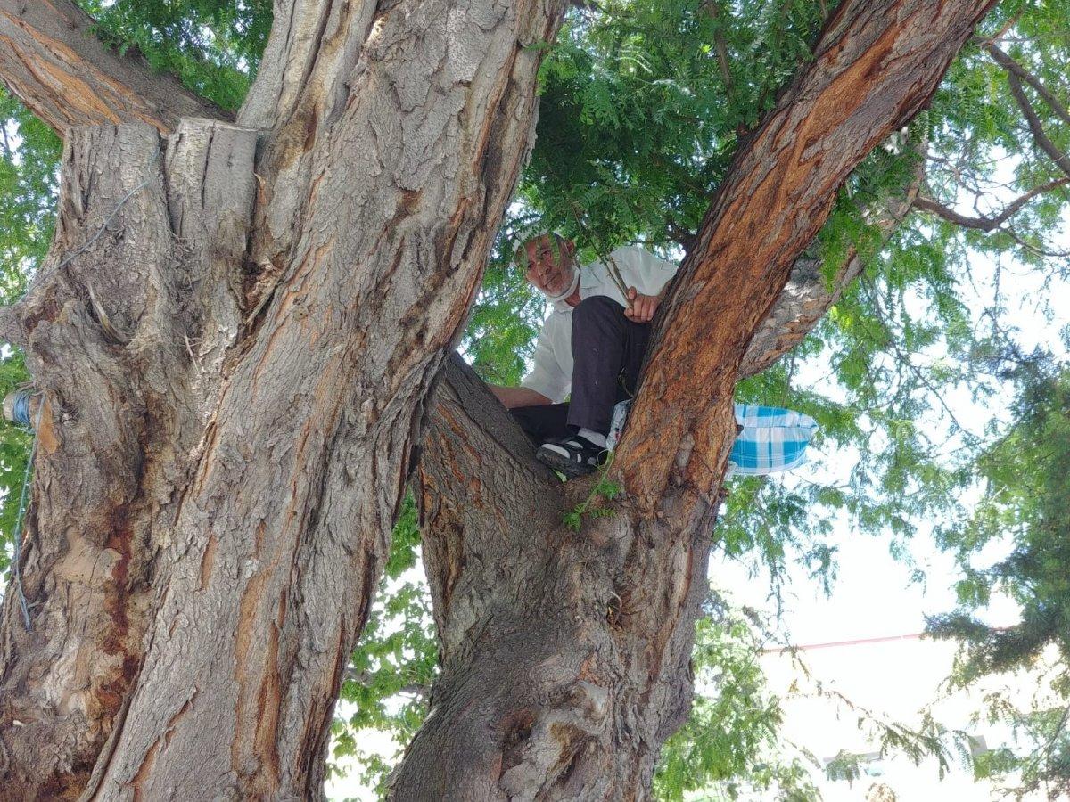 Niğde'de ağaçta oturan adam görenleri şaşırttı