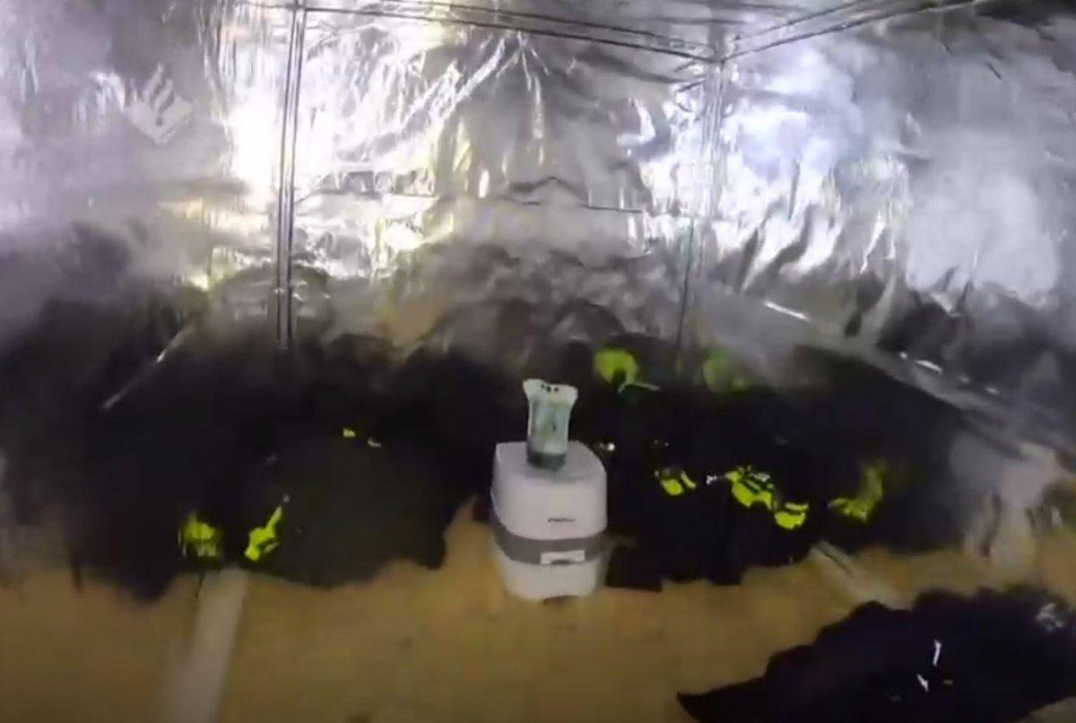 Hollanda'da konteynerler içinde işkence odaları bulundu