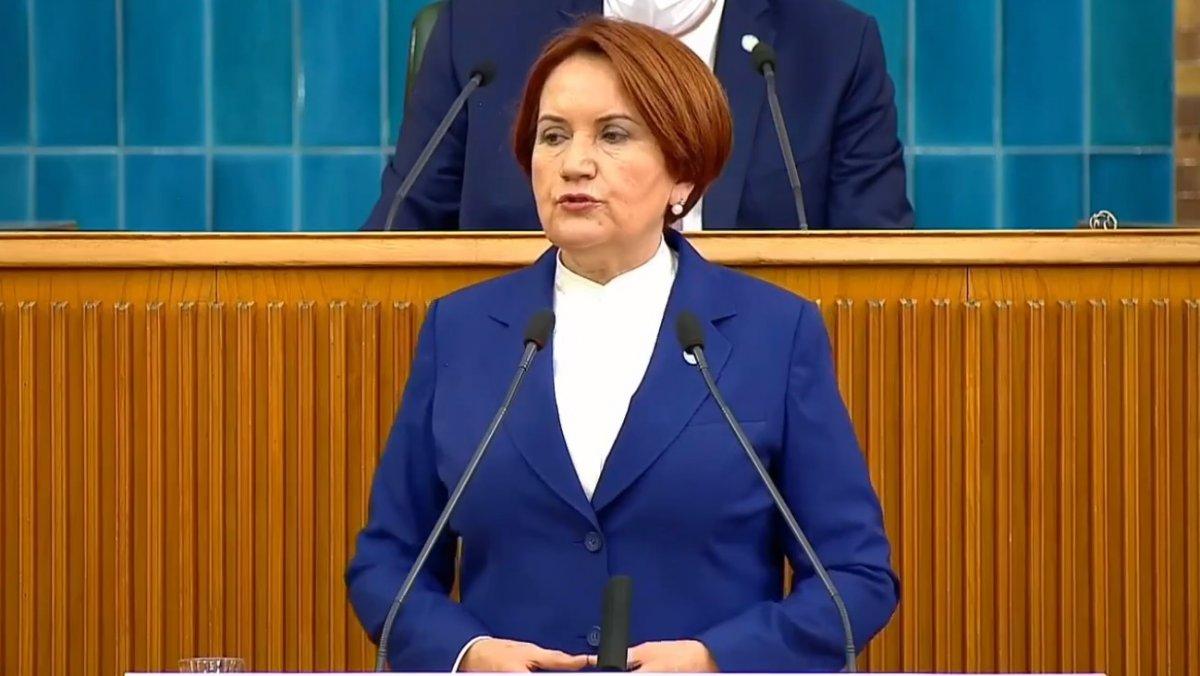 Akşener: Güzelim Gelibolu ormanları yandı gitti