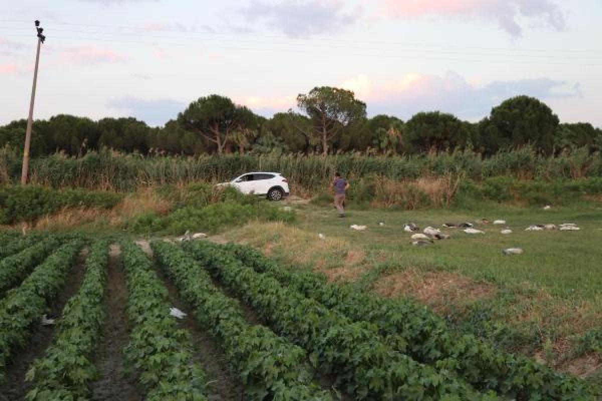 Denizli'de CHP'li başkan kazları vurdu iddiası