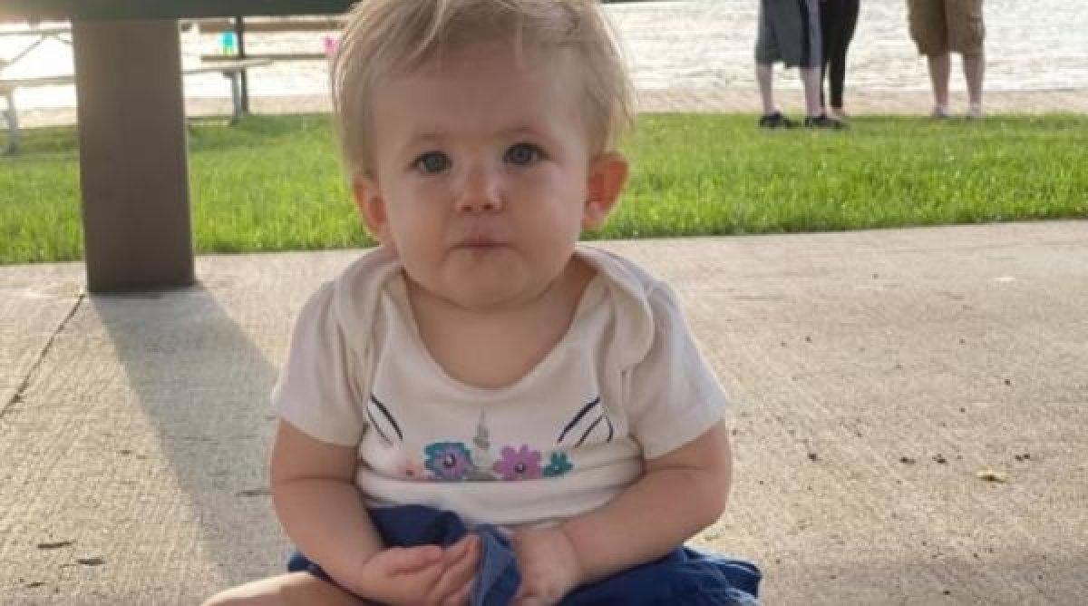 ABD'de, iki pitbull 17 aylık bebeği öldürdü