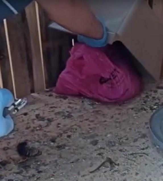 Elazığ’da tavuk kümesinden uyuşturucu çıktı