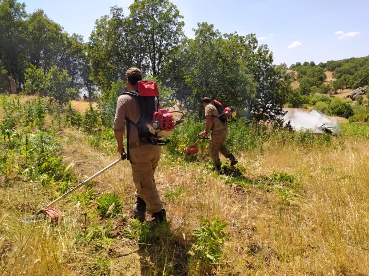 Diyarbakır'da terör örgütüne ağır darbe: 1 ton esrar