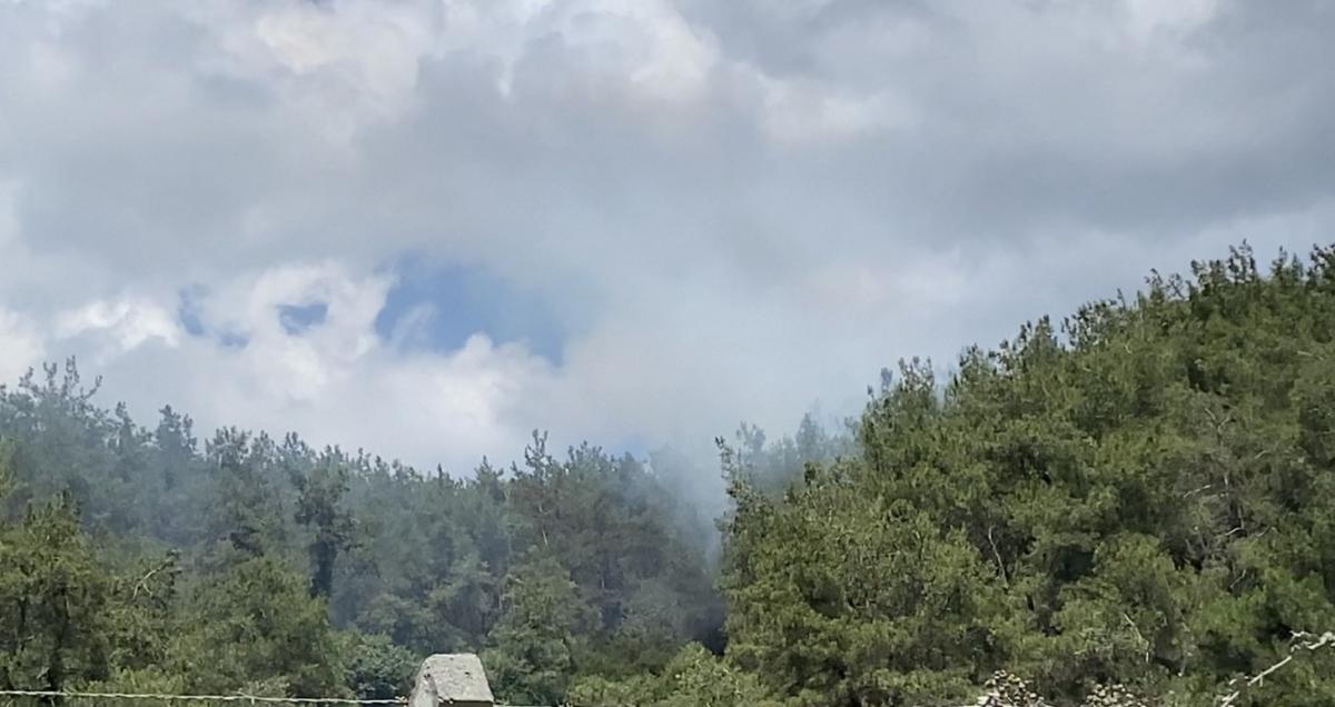 Sarıyer'de ormanlık alanda yangın çıktı