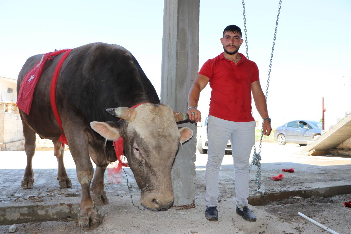 'Kayserili matador' boğası için 50 bin lira istiyor
